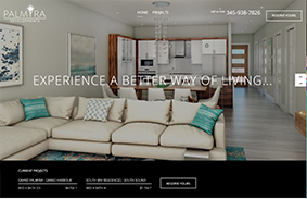 Website + Marketing Campaign